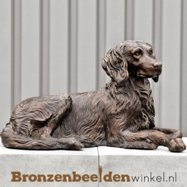 Beeld Drentse Patrijs hond BBW37244