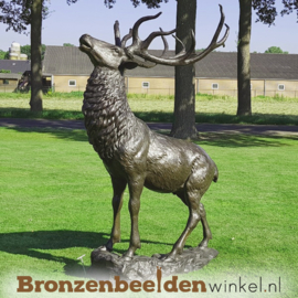 Grote bronzen hert BBW67010