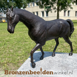 Paardenbeeldje brons BBW1172br