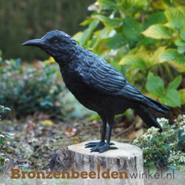 Bronzen raaf beeld BBW50325