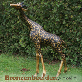 Tuinbeeld giraffe in brons BBWB77022