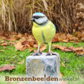 Bronzen pimpelmees vogel BBWF6530fa03