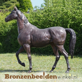 Bronzen tuinbeeld paard BBW61044