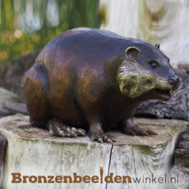 Vijverbeeld bever in brons BBW18062