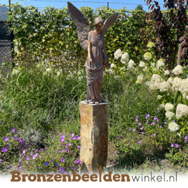 Engel beeld voor in de tuin BBW94530