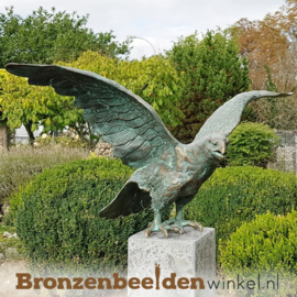 Bronzen steenarend beeld BBWR88349