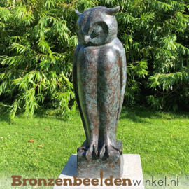 Bronzen uil beeld BBW94533br