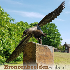 Tuinbeeld zeearend op Basalt sokkel BBW1249br