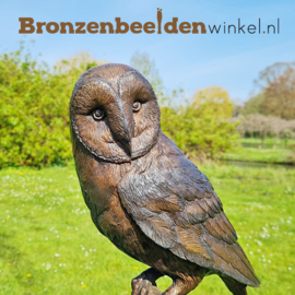 Beeld kerkuil van brons BBW1428br