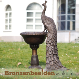 Fontein beeld met pauw BBW1501br
