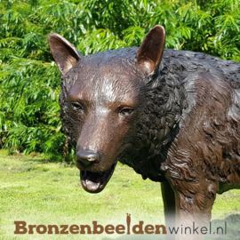 Tuinbeeld wolf in brons BBW75034