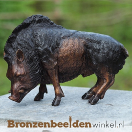 Bronzen everzwijn beeld BBW94492