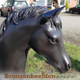 Bronzen tuinbeeld paard BBW1199