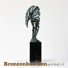 Sculptuur "Ontwikkeling" BBW004br64