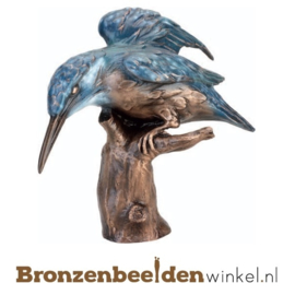 Ijsvogel cadeau ''Ijsvogel op stam'' BBWF6057fa