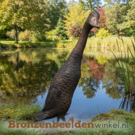 Bronzen eend met lange nek BBW1517br
