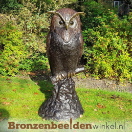 Grote bronzen uil beeld voor in de tuin BBW57491