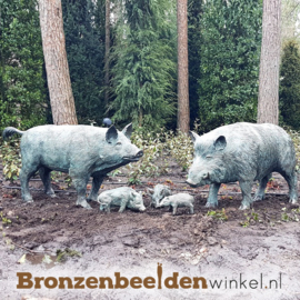 Tuinbeeld varken in brons BBWR88457