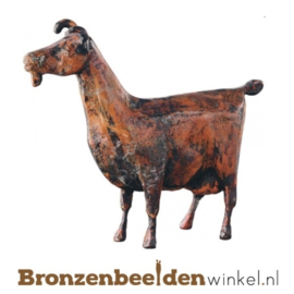 Bronzen geit BBW87177