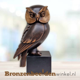 Asbeeld "De Uil" in brons BBW37234
