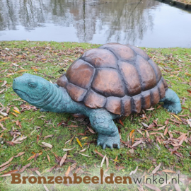 Vijverbeeld Galapagos schildpad BBWB58481