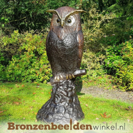 Grote bronzen uil beeld voor in de tuin BBW57491