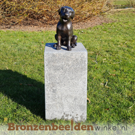 Gedenksteen hond "Labrador" BBW0678gd