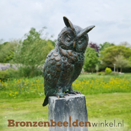 Bronzen neerkijkend uilenbeeldje BBWR88634