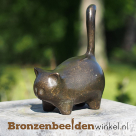 Kattenbeeld "Het Schattige Katje" BBW2135br