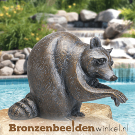 Bronzen wasbeer beeld BBW37261