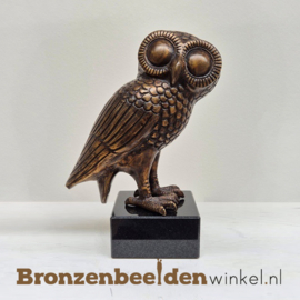 Beeld uil met grote ogen BBW443321br