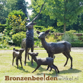 Tuinbeeld herten familie in brons BBW47234F