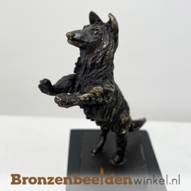 Kleine urn hond "De enthousiaste Collie" BBW043br07as