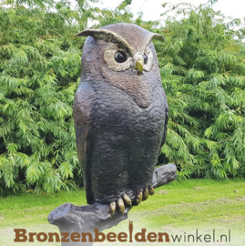 Bronzen uil tuinbeeld BBW57490