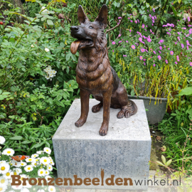 NR 6 | Gedenksteen overleden hond "Herdershond" BBW56814gd