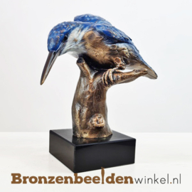 Bronzen ijsvogel op stam BBWF6057fa