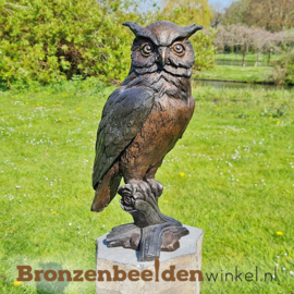 Beeld ransuil van brons BBW1427br