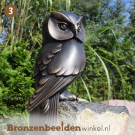 NR 3 | Afscheidscadeau meester ''Bronzen uil'' BBW37234