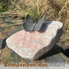 Beeld vlinder op kei BBWR88725kei