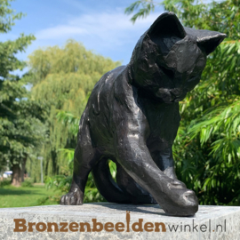 Blijvende herinnering spelende kat met bal BBW1354br