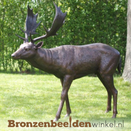 Beeld damhert brons BBW1408