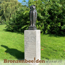 Bronzen uil beeld BBW94533br