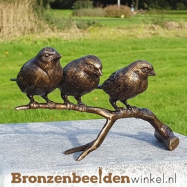 NR 2 | Cadeau vrouw 83 jaar ''Bronzen mussen op tak'' BBW0399br