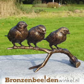 NR 1 | Bronzen musjes op tak BBW0399br