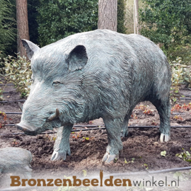 Tuinbeeld zwijn in brons BBWR88458