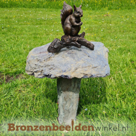 Bronzen eekhoorn beeld BBWAN1168BR