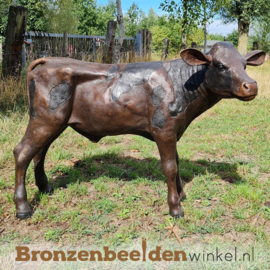 Beeld kalfje in brons BBW47204