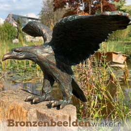 Bronzen arend beeld BBWR88363