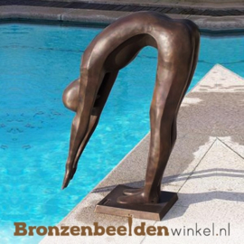 Groot beeld De Duiker BBW1349br