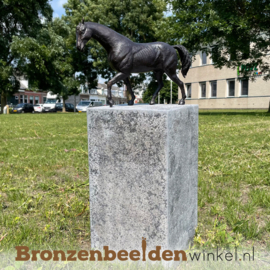 Paardenbeeldje brons BBW1172br